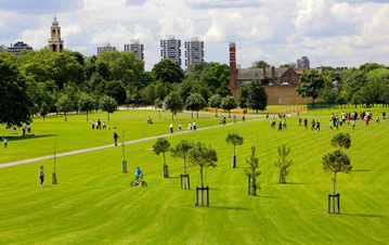 Burgess Park